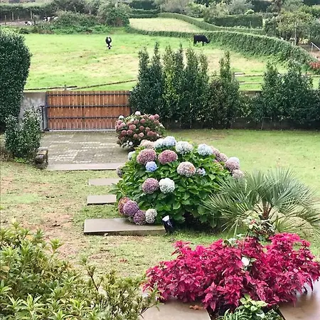 #areias 9 Furnas (Azores)